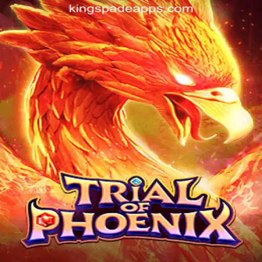 KING SPADE Online Casino Philippines Casino App